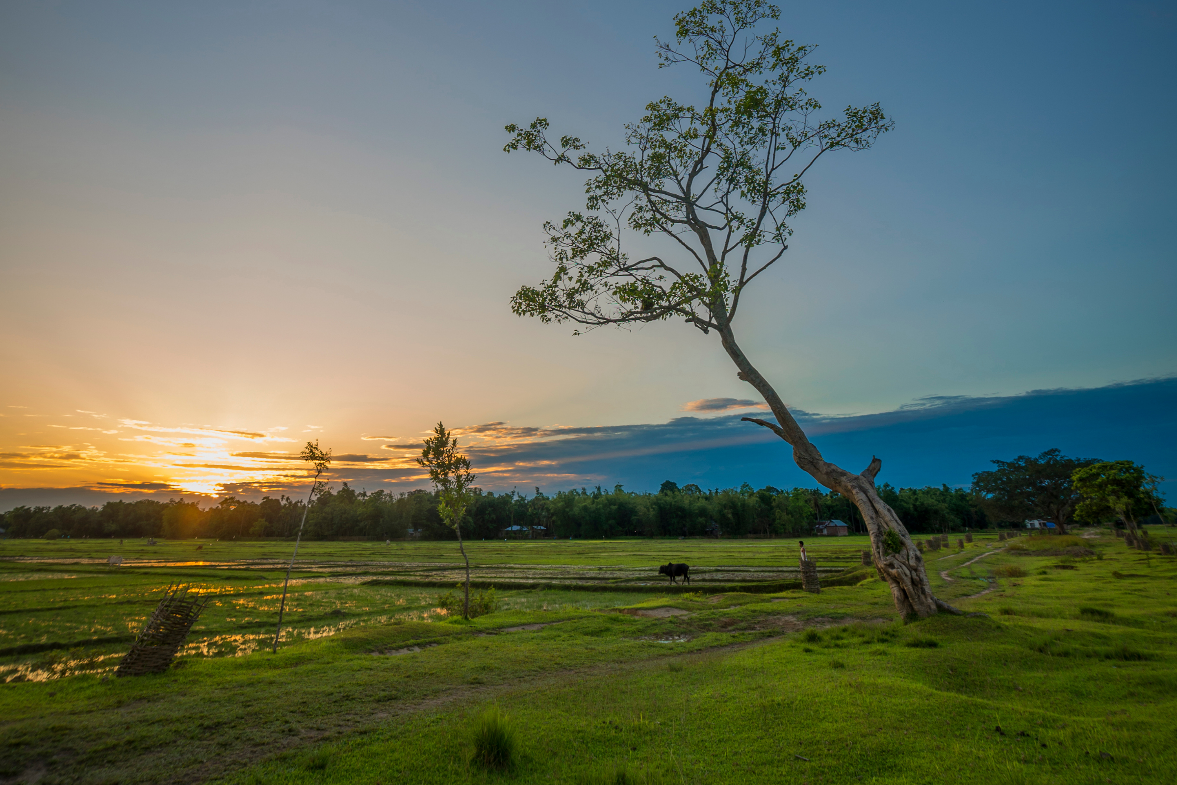 143 jorhat.webp